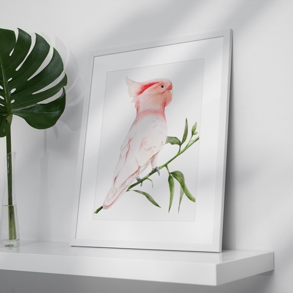 Wall Art Major Michell's Cockatoo Print Unframed - Picture 5 of 6